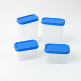 Apex Glory Plastic Storage Container Box Set (4 Pc)